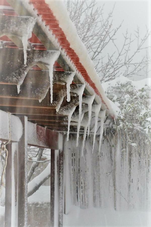Si-Har Chalets Nimrod Dış mekan fotoğraf