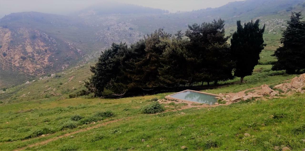 Si-Har Chalets Nimrod Dış mekan fotoğraf