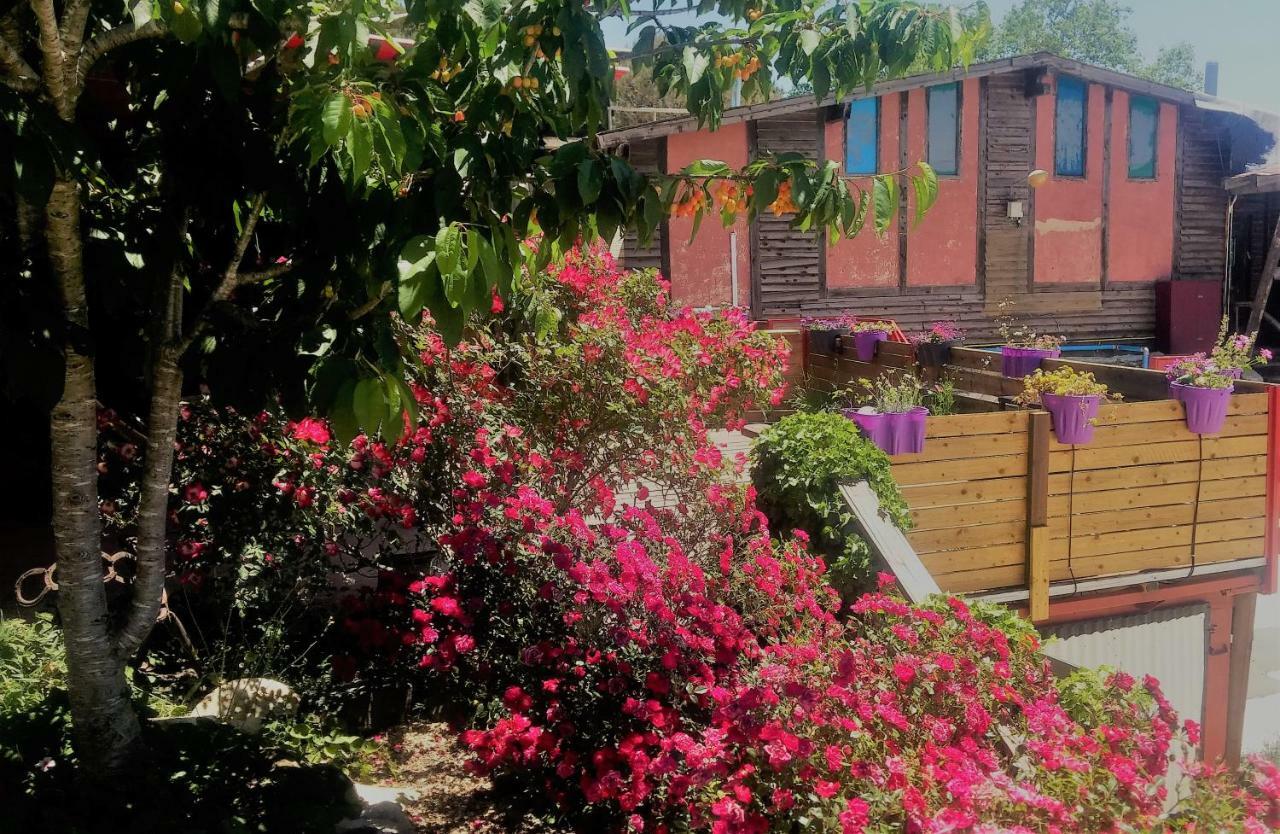 Si-Har Chalets Nimrod Dış mekan fotoğraf